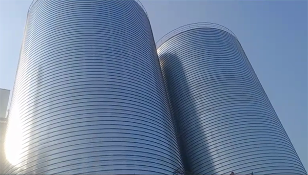 凤凰2座混凝土高架卷板仓